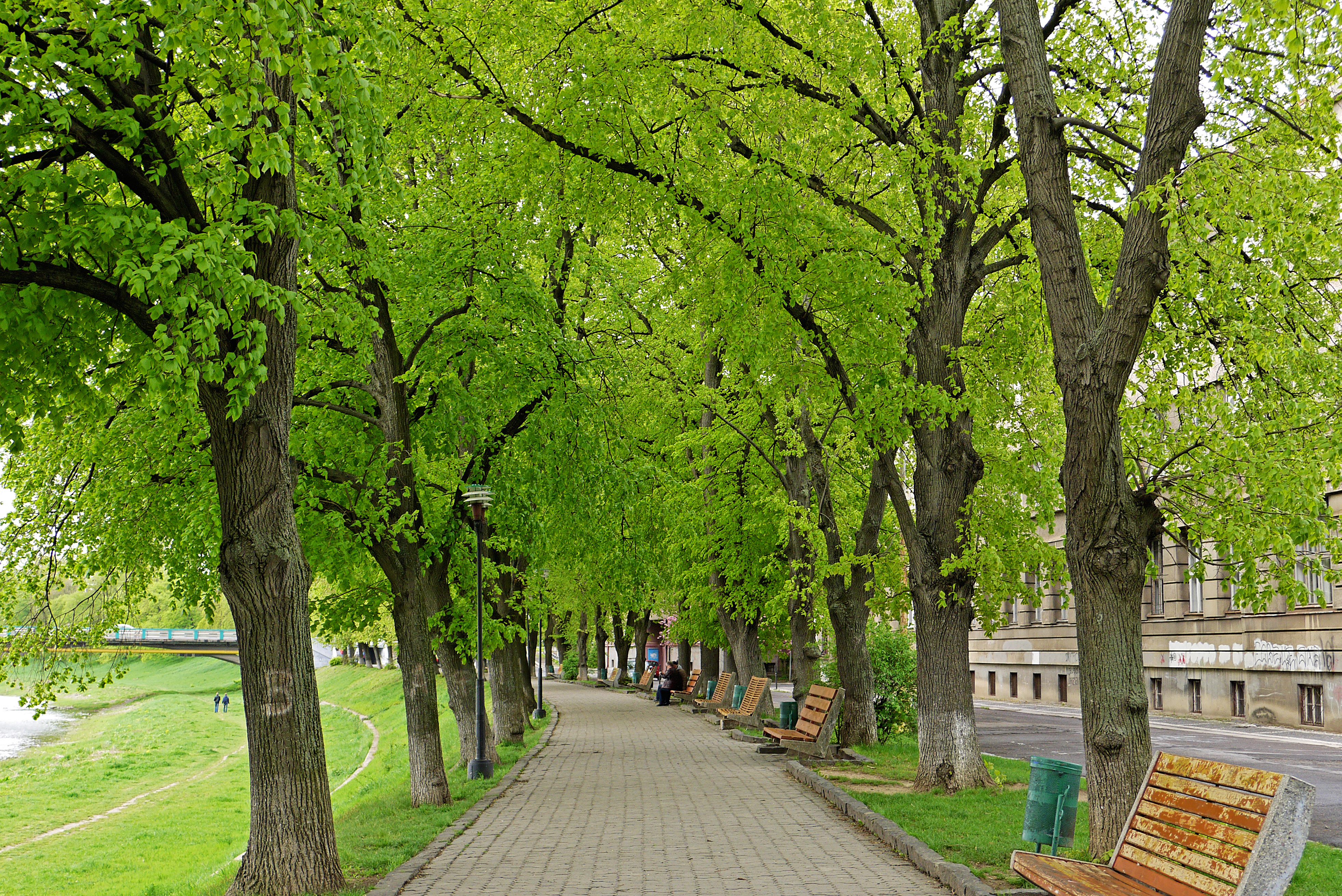 Боздош парк в Ужгороді